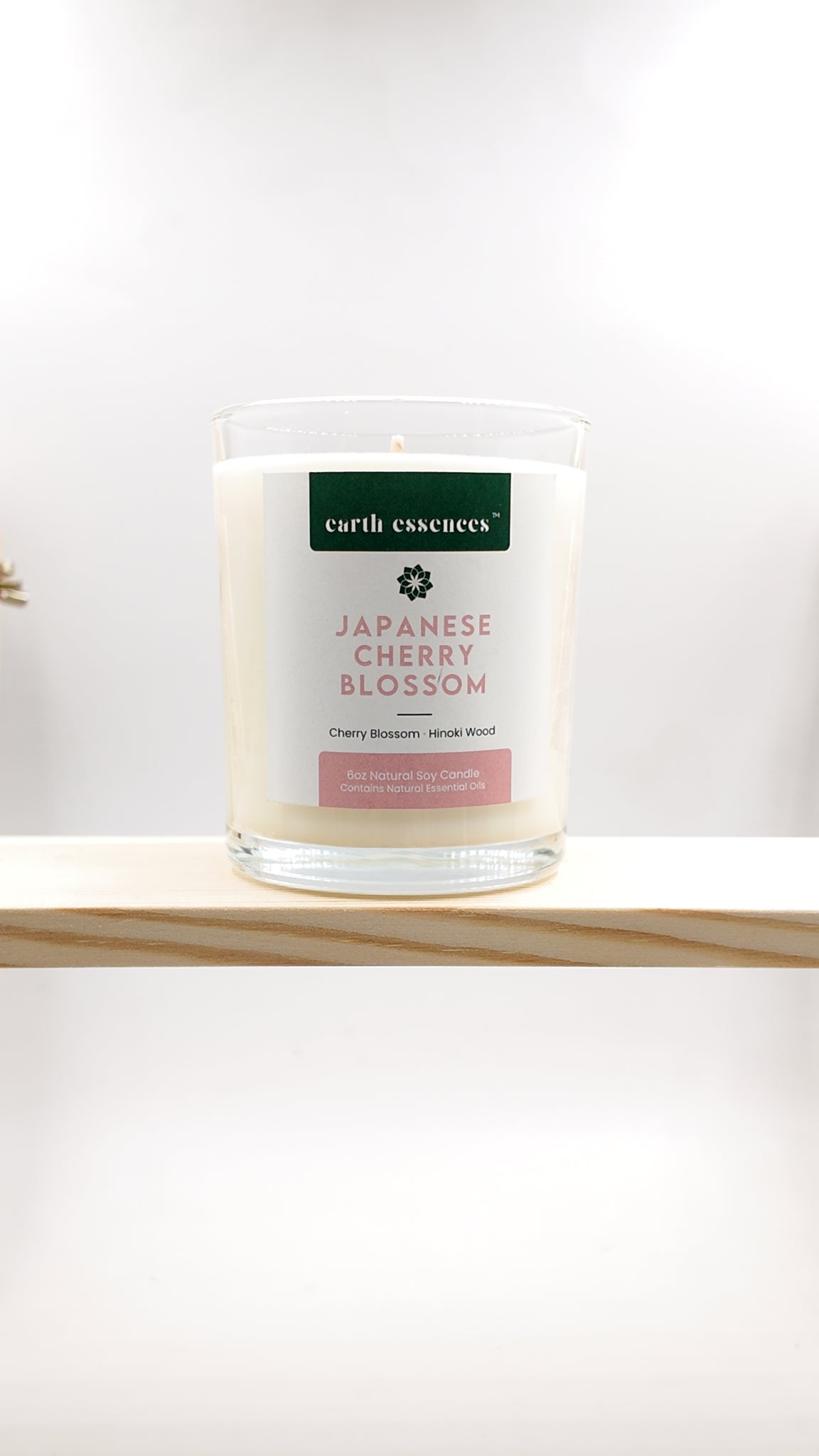 6oz Scented Candle Japanese Cherry Blossom  Earth essences
