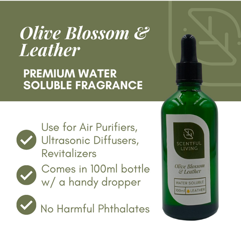 Water Soluble Room Fragrance - Olive & Leather 🐾